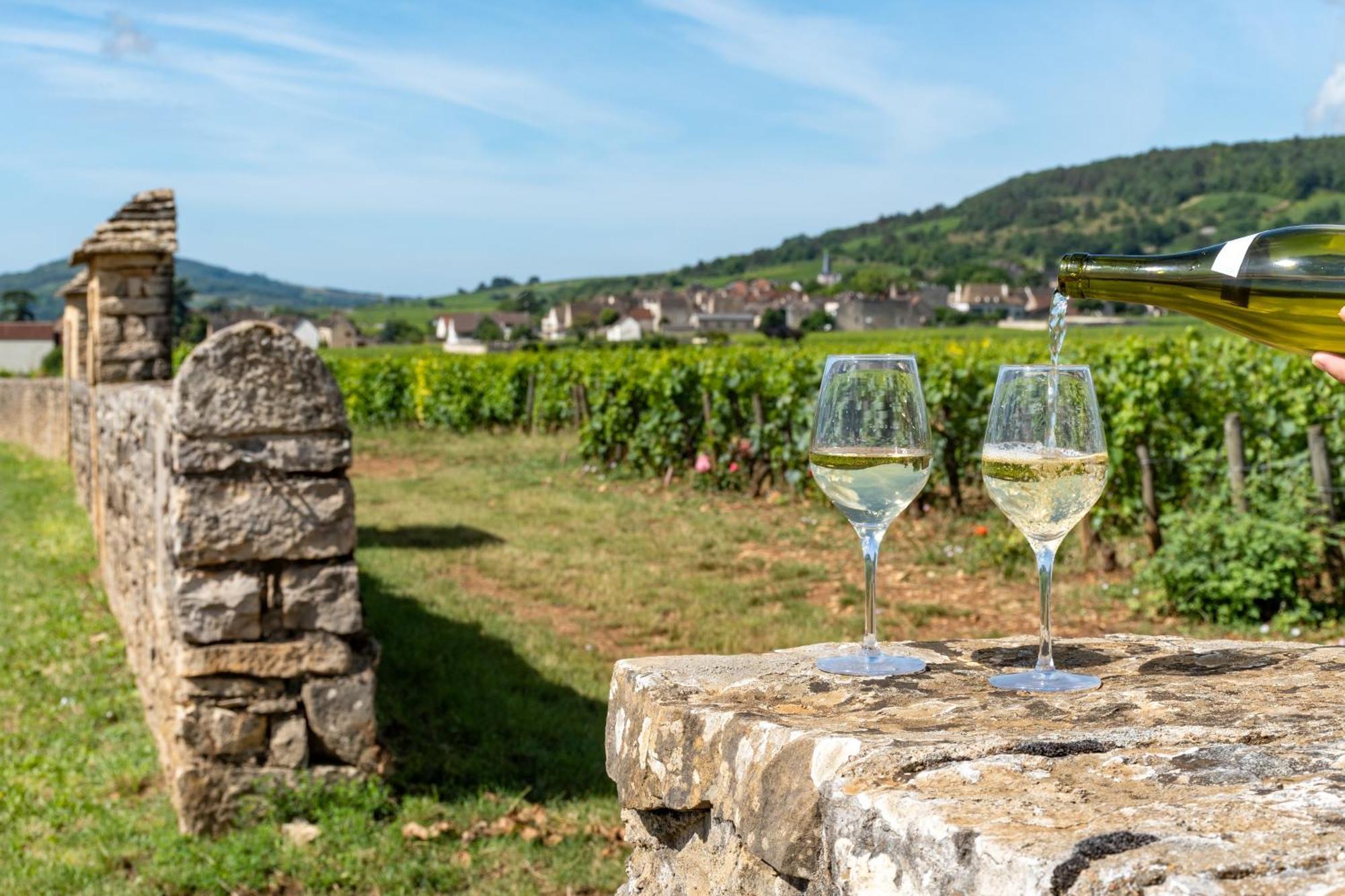 Charmante Maison Climatisee Avec Son Jardin A 5 Minutes De Dijon Saint-Apollinaire  ภายนอก รูปภาพ